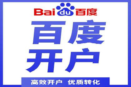 百度竞价与搜索引擎优化（SEO）结合的经典案例